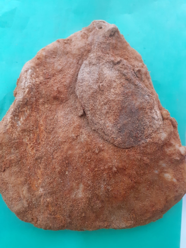 Guanciale
